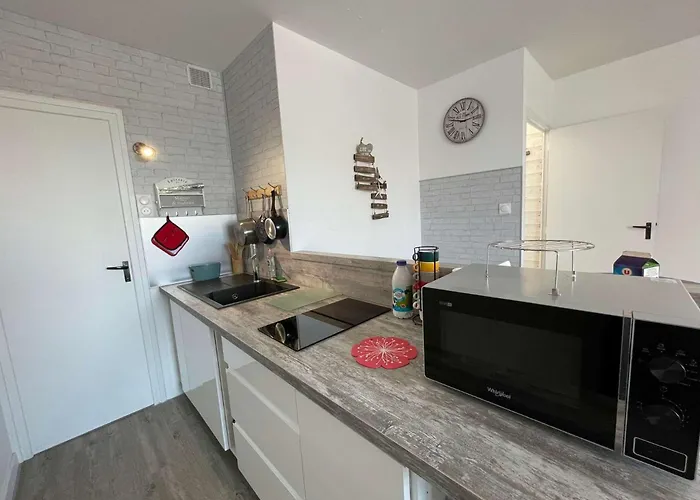 Sh210-37d - 2 Pieces 4 Couchages - Saint Hilaire De Riez Saint-Hilaire-de-Riez